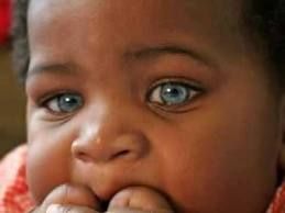 "L'Umana Indiferrenza"