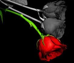 Vivr� ancora d'amore