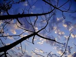 Fabbricatore di nuvole