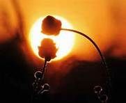 Credere sempre all'Amore