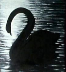 Il sogno del cigno