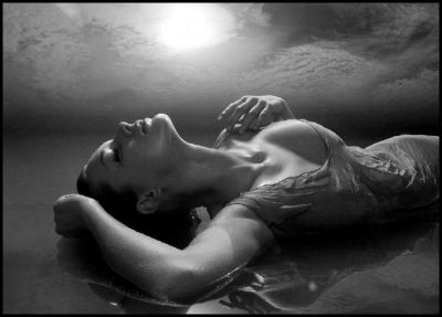 Il nocchi�re della notte