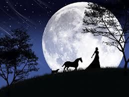 Nell'altra met� del cielo