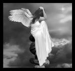 Pula dispersa al vento