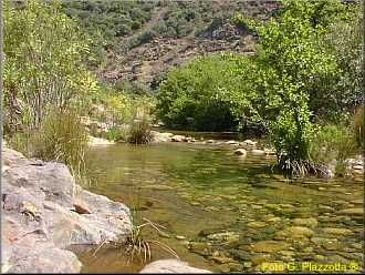 Su Cannoni (sorgente)