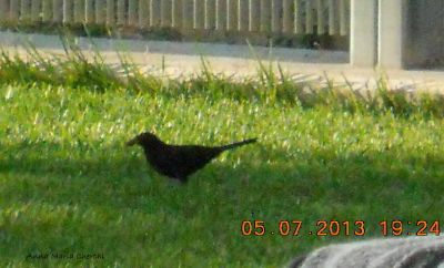 Non � una preghiera