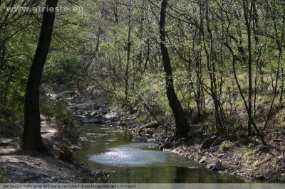 Briciole di un sogno