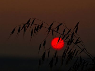 Il silenzio dell'alba