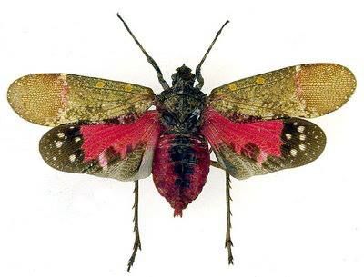 Ci� che resta del tempo