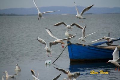 Il tempo � un fiume