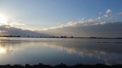 Nel silenzio dell�alba