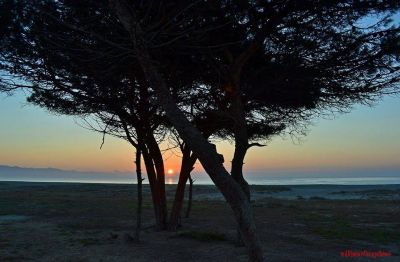 Il suono della sua voce