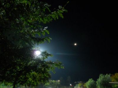 Quando non potr� pi� amarti