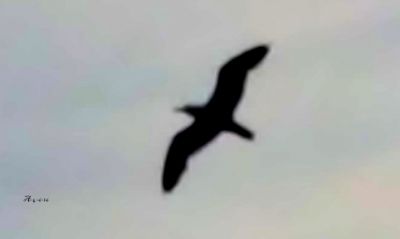 Sino alla fine del tempo