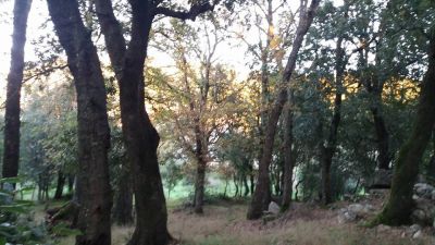 Ai margini del fiume