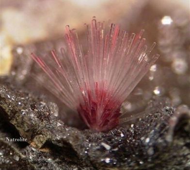 L�et� dell�inverno