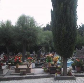 Primavera a Novembre