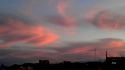 Sogni vestiti di rosa