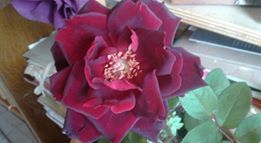 Come avessi trent�anni