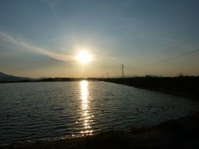 Aspetter� l�alba