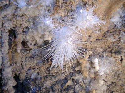 Il tempo dell�uomo