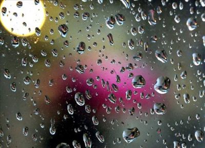 Non � pianto di stelle