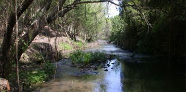 Tempo simile al fumo