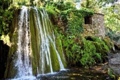 Pensiero dell�anima