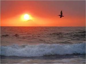 In riva al mare, l�aurora