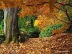 Autunno