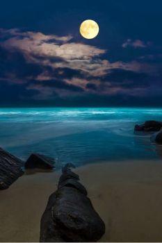 La luna � musa ispiratrice