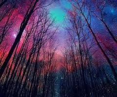 Dopo di noi l'infinito