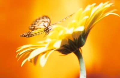 Rischiai di perderti