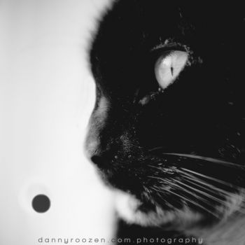 Illuminazione passeggera