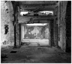 L'albero solitario (Wabi- Sabi)