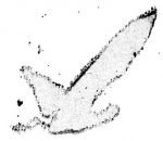 La Tartaruga disse a Zeus