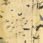 Senza Titolo per Te (Gl�s�li)