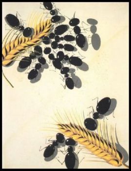 Paradox n�1: libert� aujourd'hui