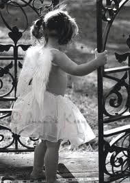 Le notti nel calamaio