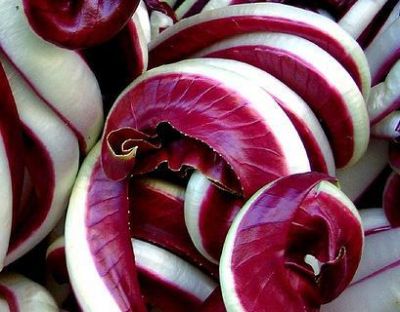Piccola Ode al radicchio