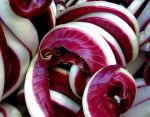 Piccola Ode al radicchio