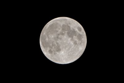 31 dicembre - La ventiquattresima ora