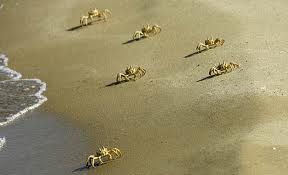 E... sotto lo scudo?