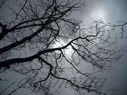 Eppure verr� primavera