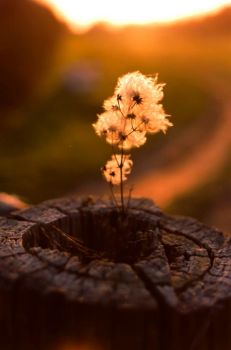 Inquietudini di Marzo