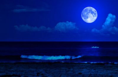 Filtra la luce... e passa