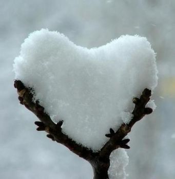 La neve sul cuore