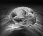 Decanterei melodie che trasmette l'animo