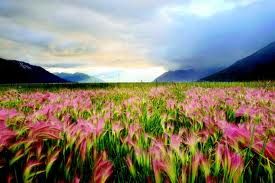 Squarcio d�azzurro