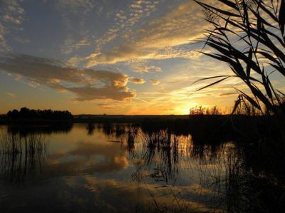 Tramonto nel canneto